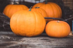 Tips for Finding the Perfect Pumpkin Featured Image