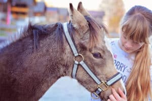 A girl petting a pony for fall pumpkin patch