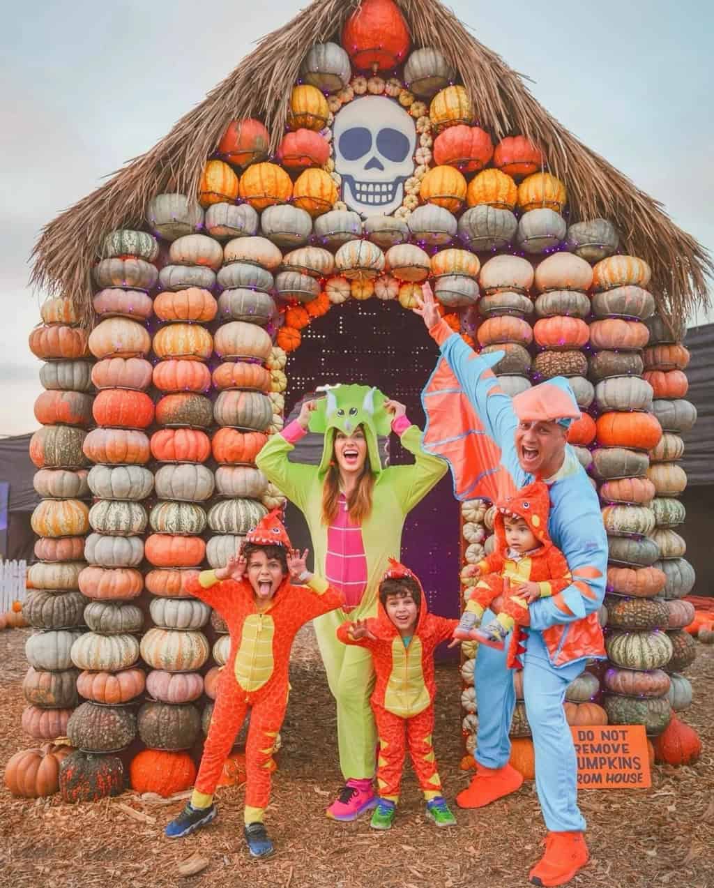 Best Time to Plant Pumpkins for a Fall Harvest Best Time to Plant Pumpkins for a Fall Harvest