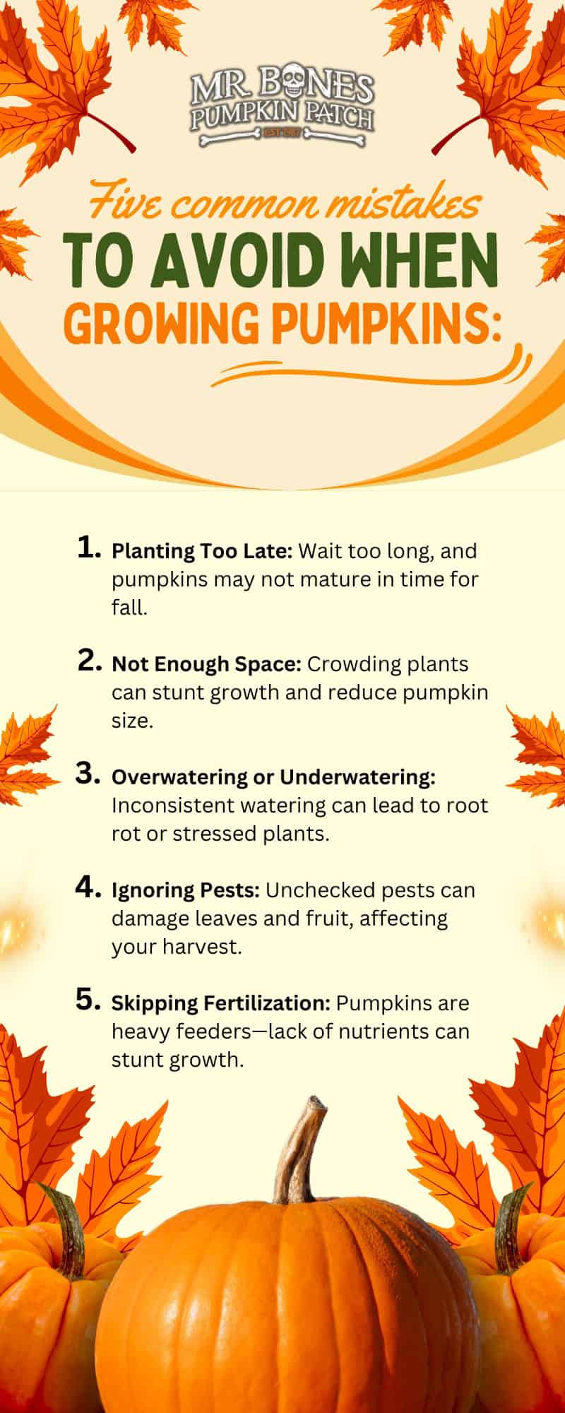 How to Start Growing Pumpkins for Fall Harvest