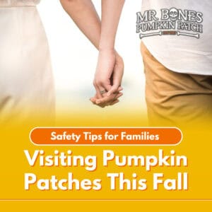 Safety Tips for Families Visiting Pumpkin Patches This Fall featured image
