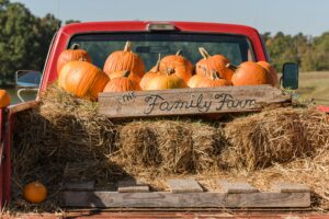 a red pickup truck filled with pumpkins
