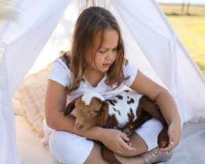 a young girl holding a spotted baby goat