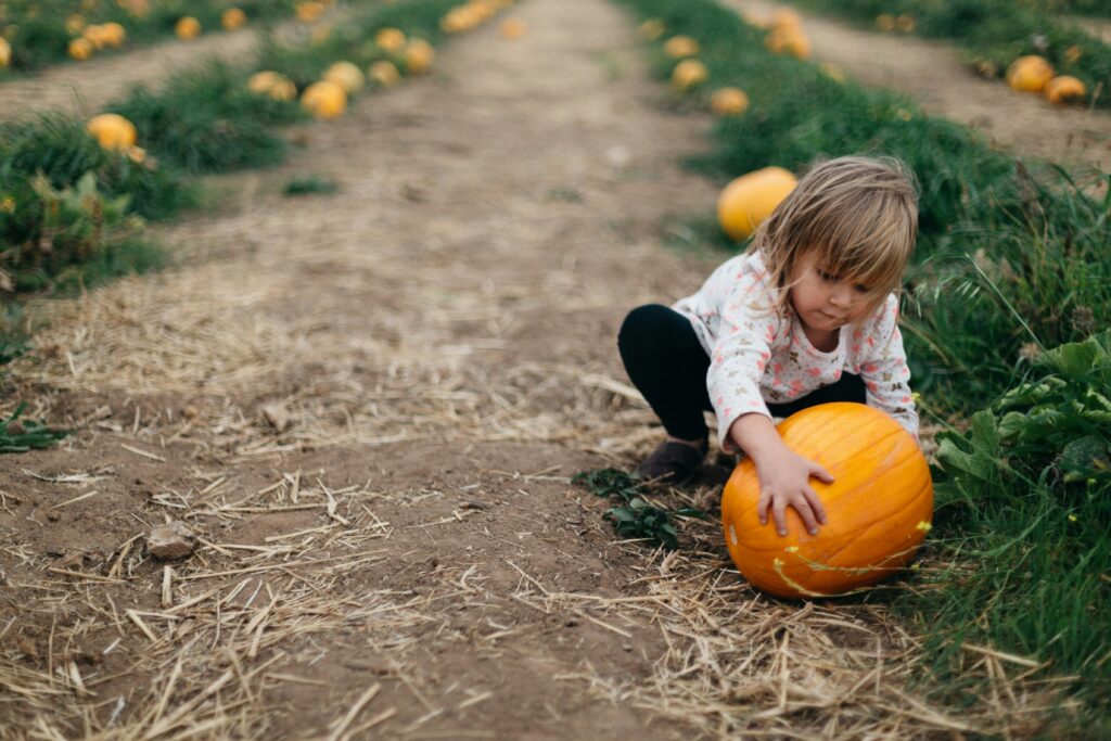 a girl holding pumpkin beside green bushes during daytime