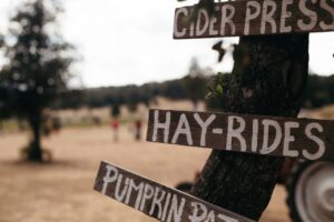 brown wooden road signages on a tree
