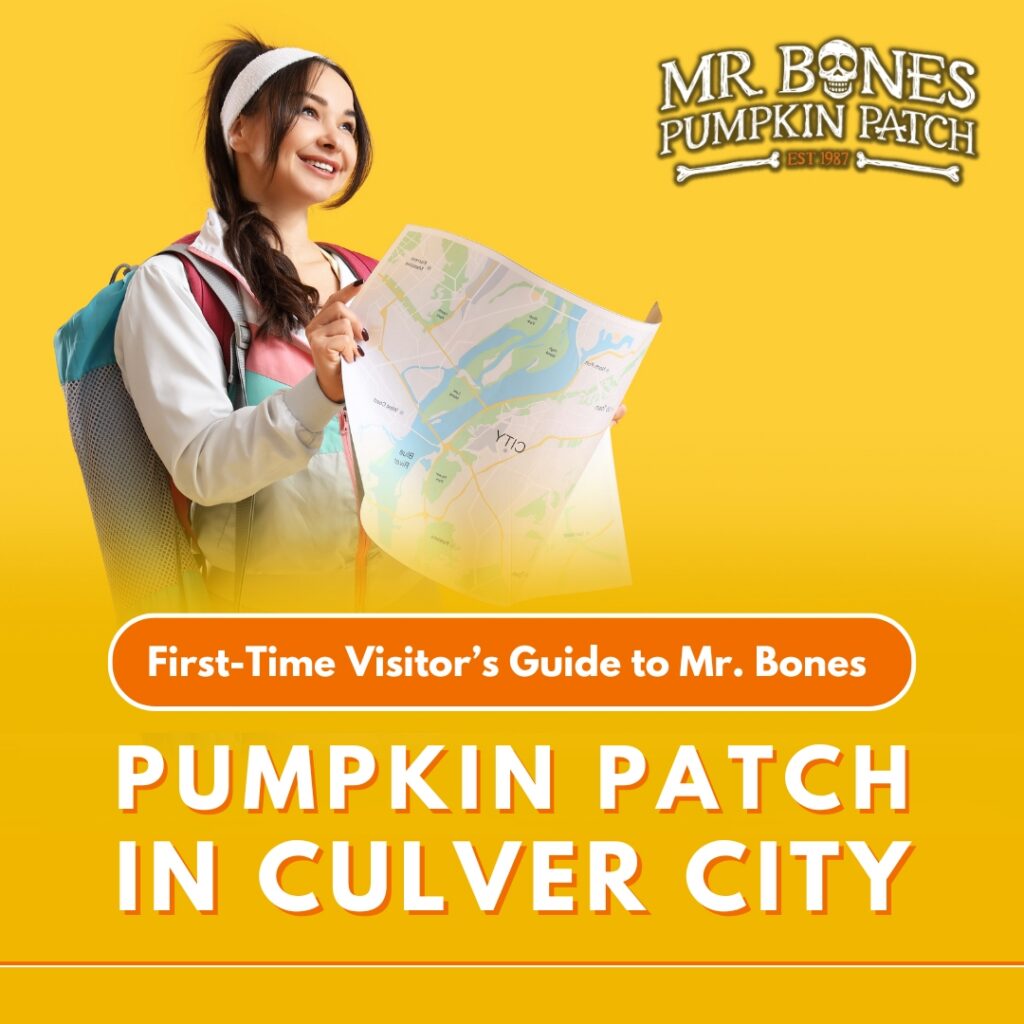 First-Time Visitor's Guide to Mr. Bones Pumpkin Patch in Culver