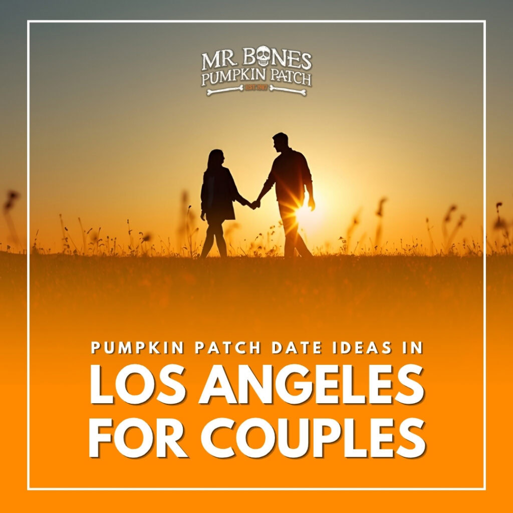 Pumpkin Patch Date Ideas in Los Angeles for Couples