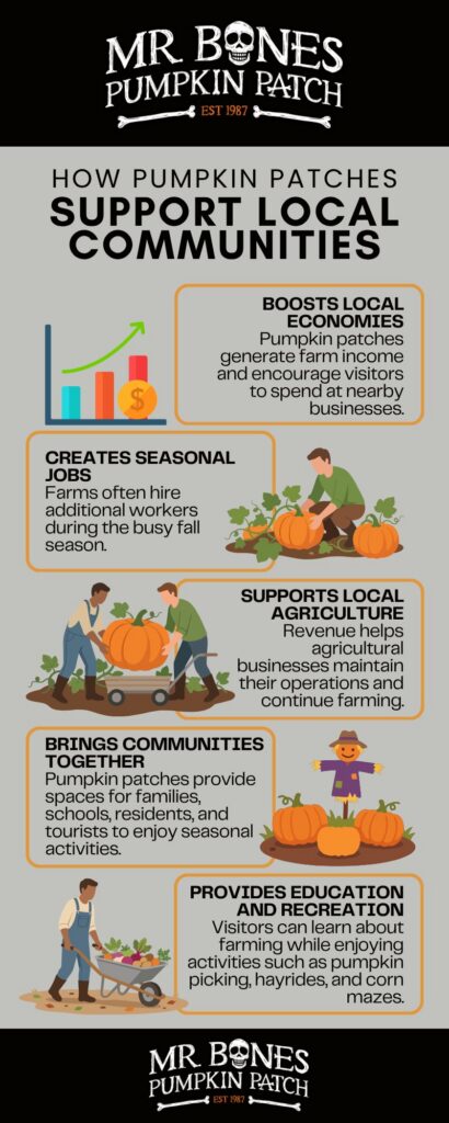 How Pumpkin Patches Support Local Communities