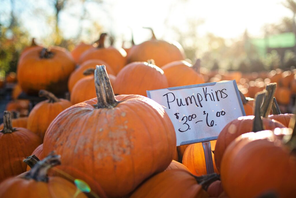 Close-up of bright orange pumpkins at an outdoor farm stand with a handwritten price sign in the foreground