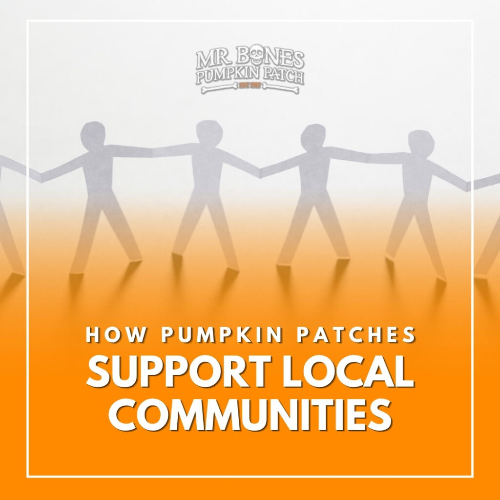 How Pumpkin Patches Support Local Communities